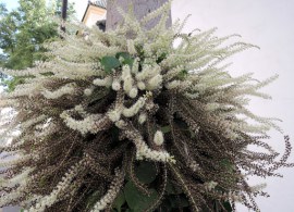 unnamed (3)8